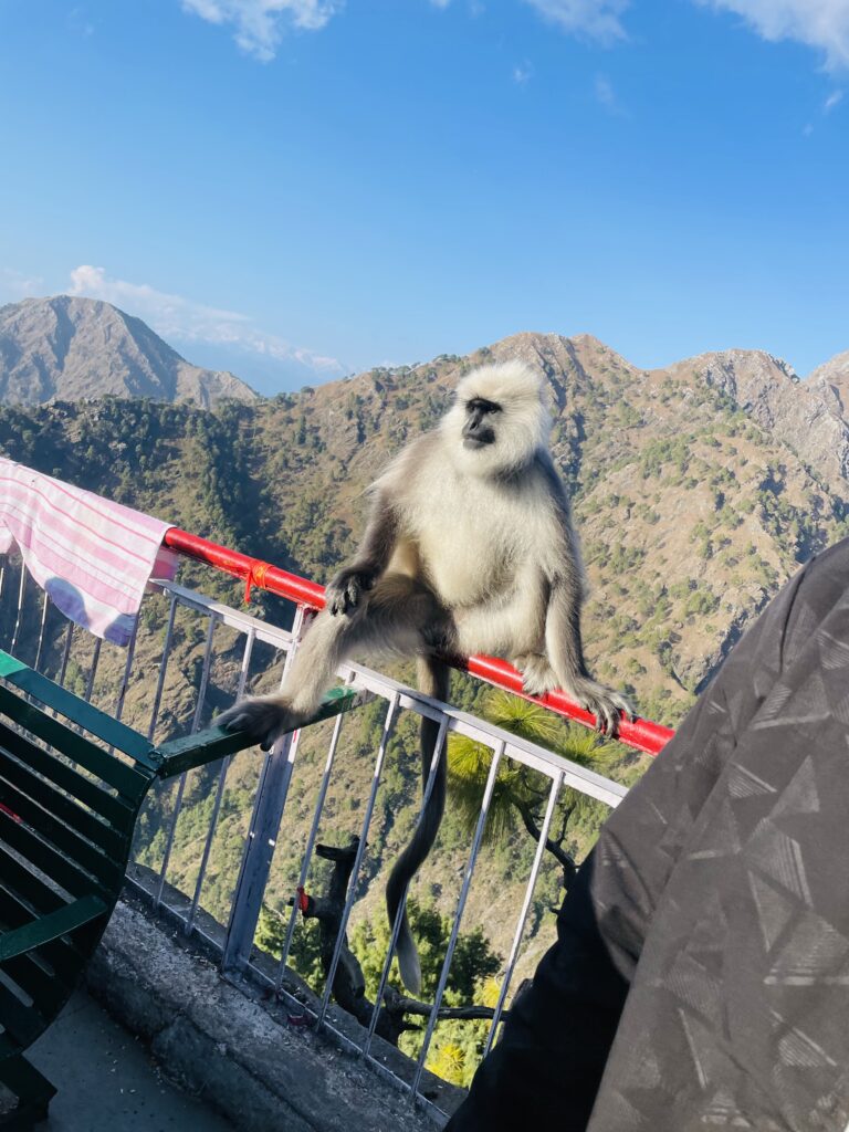 vaishno devi katra