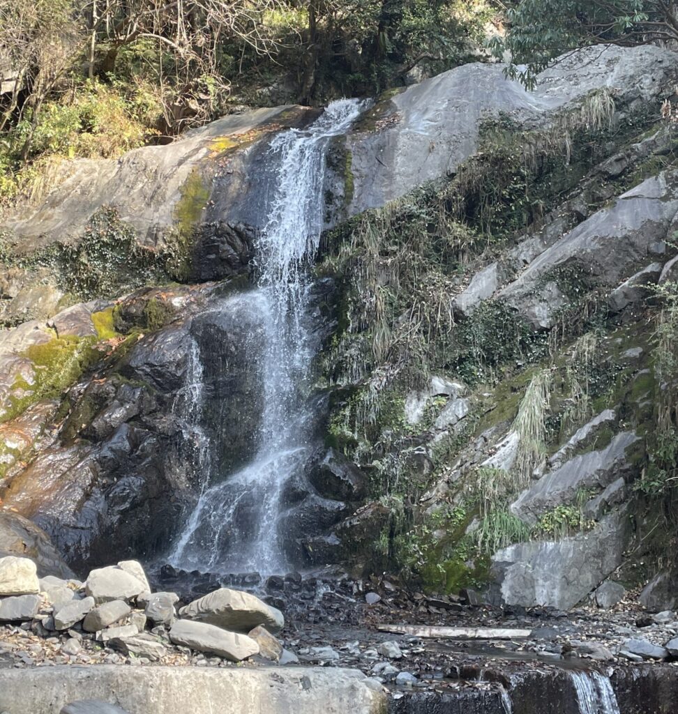 Barot valley mandi