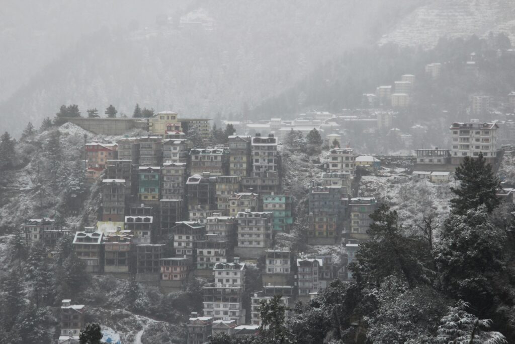 shimla snow