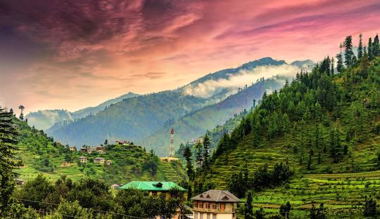 Janjehli Mandi Himachal Pradesh
