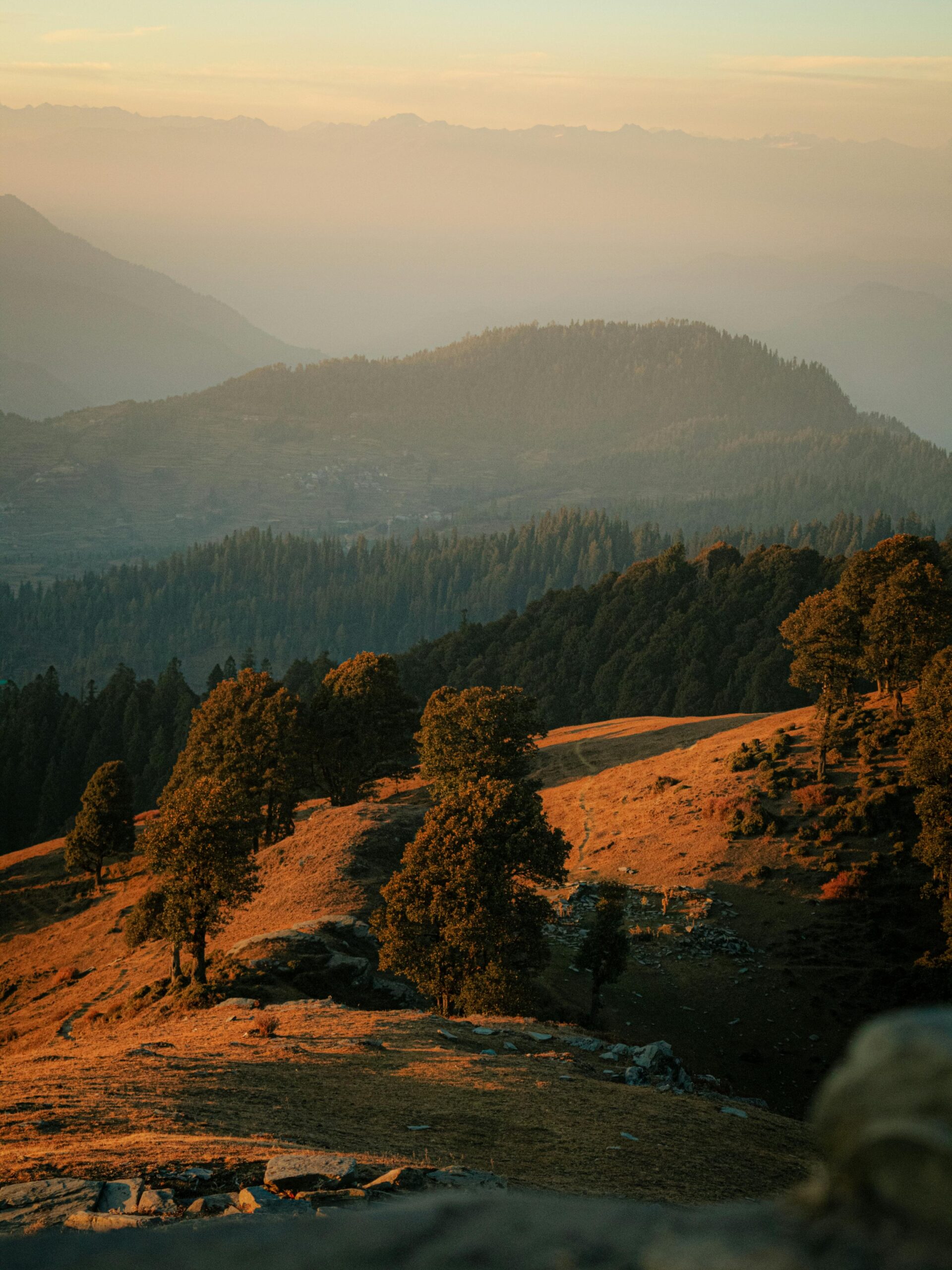 Jibhi Travel Guide