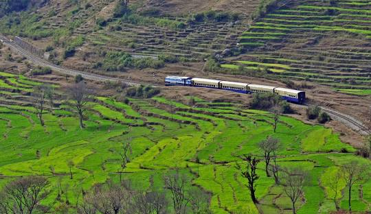 jogindernagar anki 