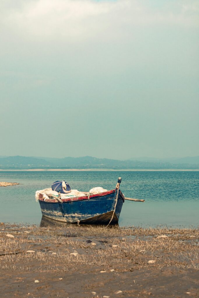 kangra boat