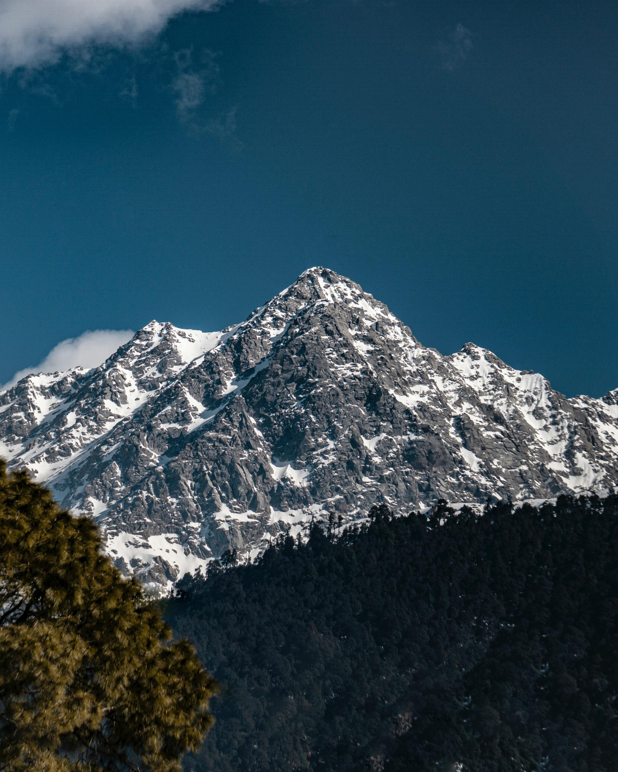 Kangra Beauty