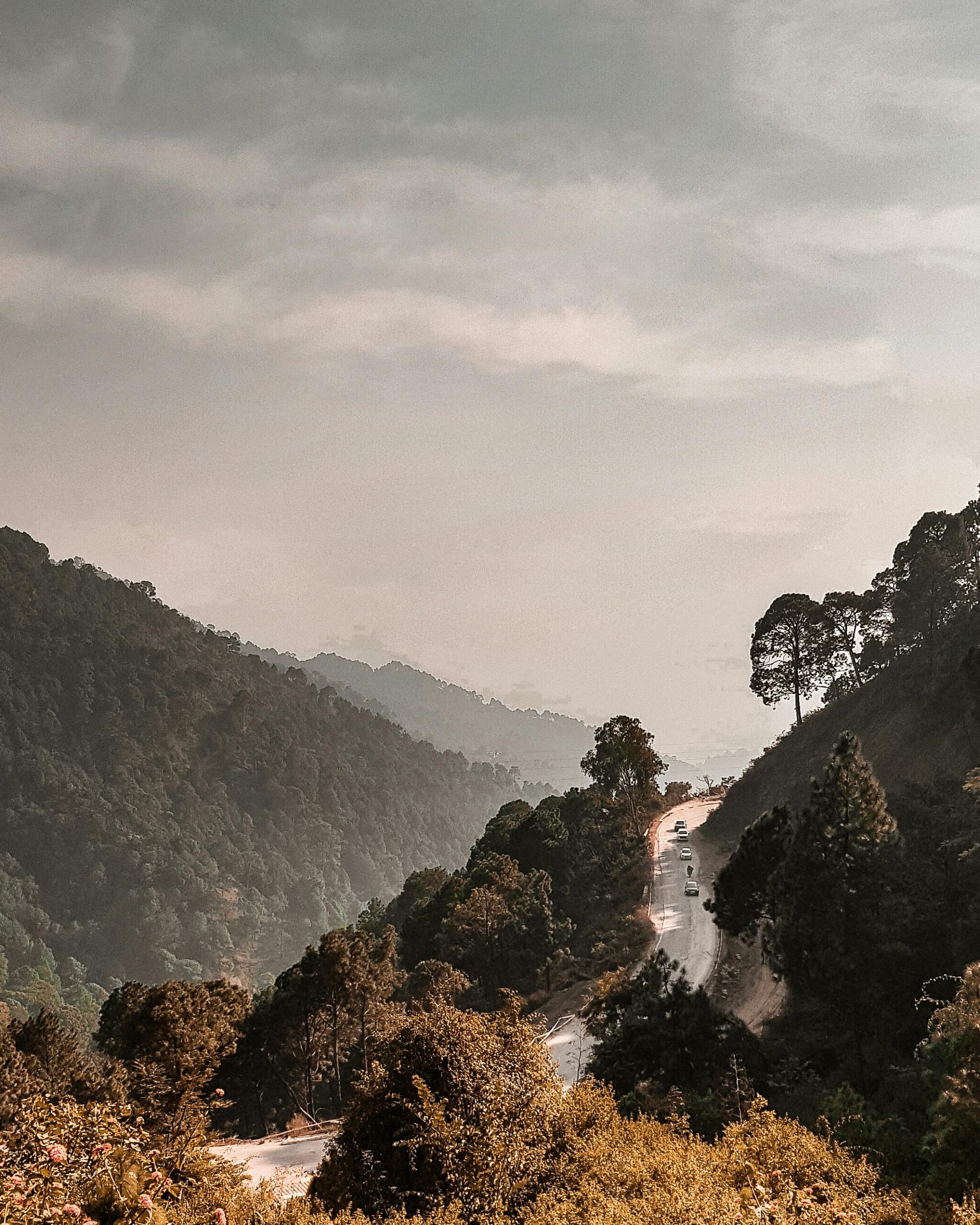 Discover Kasauli