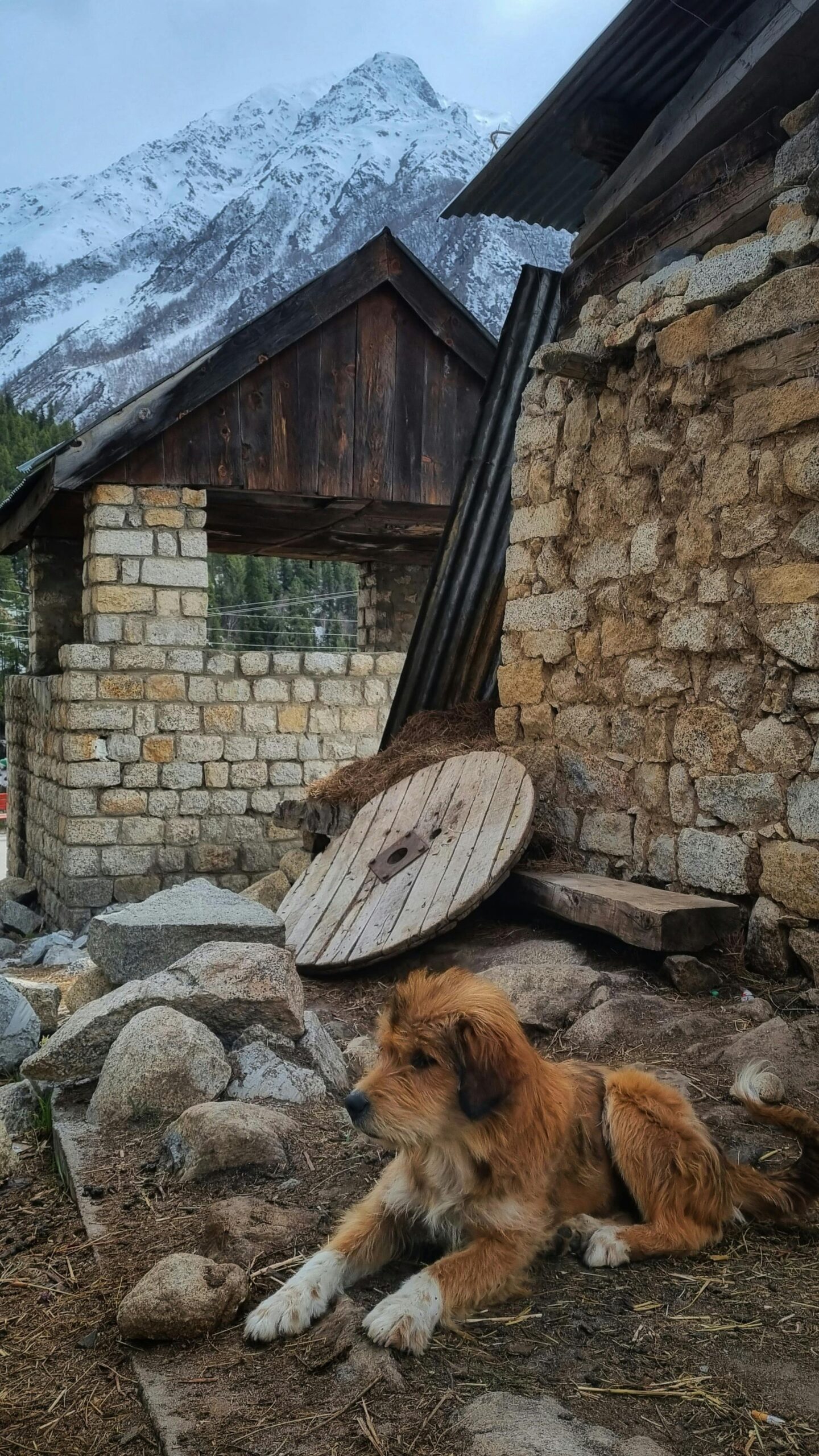 Exploring Kinnaur