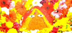 maa chintpurni
