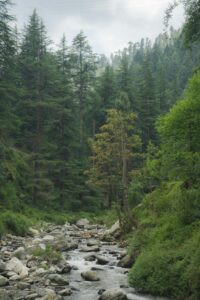 mandi himachal pradesh
