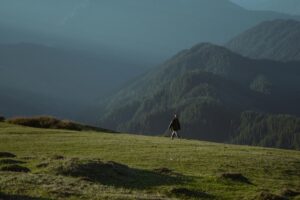 shoja himachal pradesh