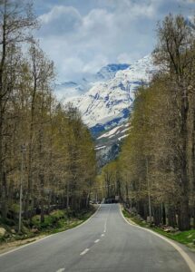 sissu himachal pradesh