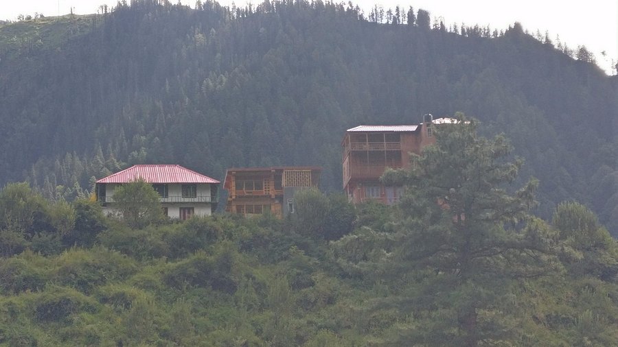 tosh pinki didi dhaba