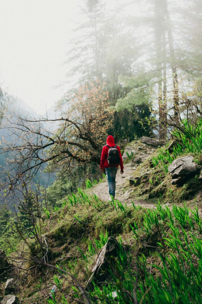 kasol trekking