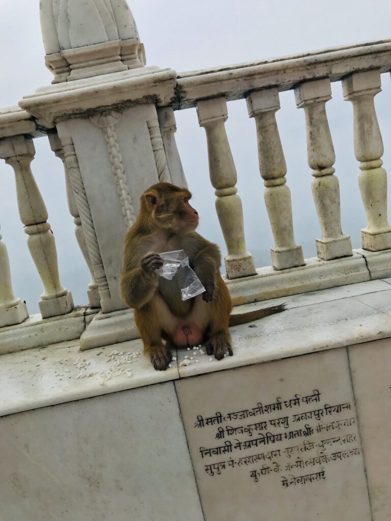 naina devi bilaspur