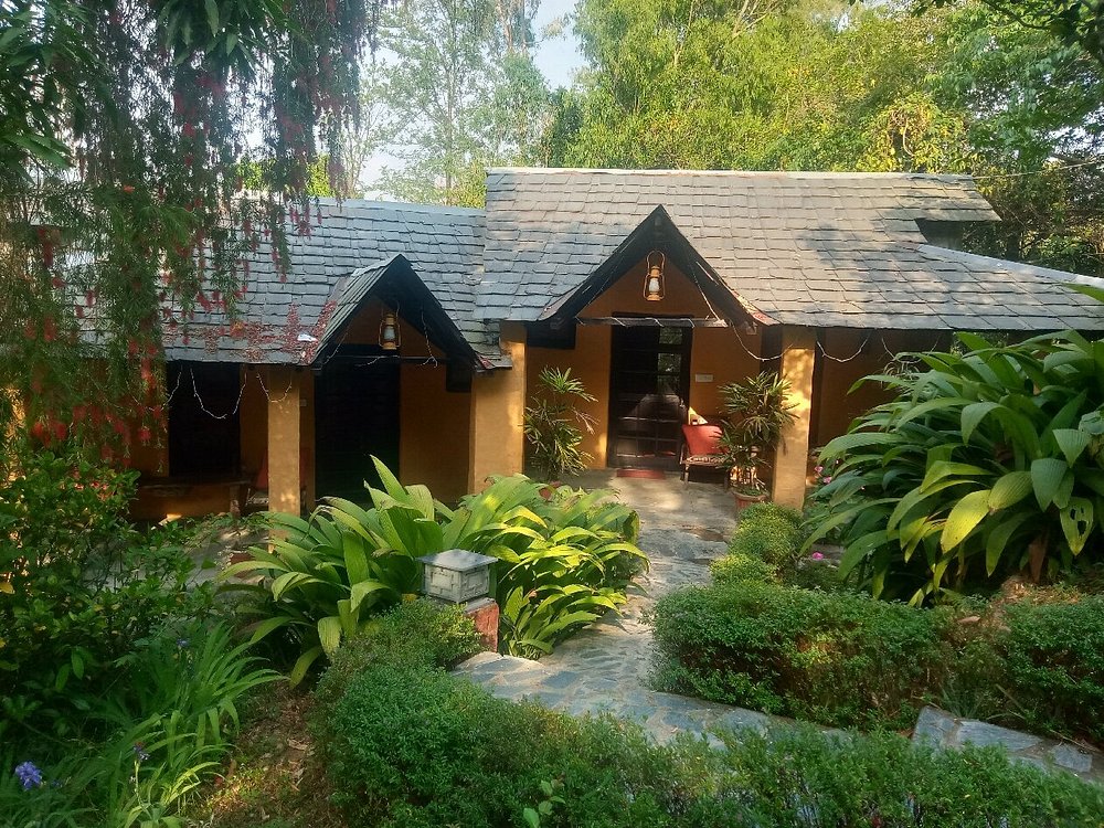 andretta village palampur