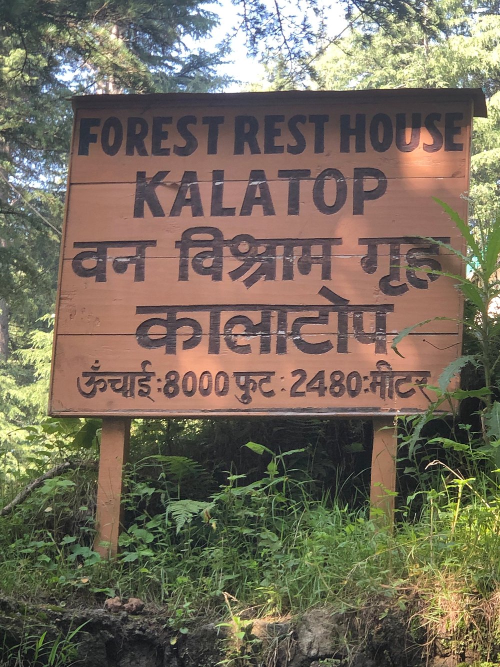 kalatop wildlife sanctuary Chamba
