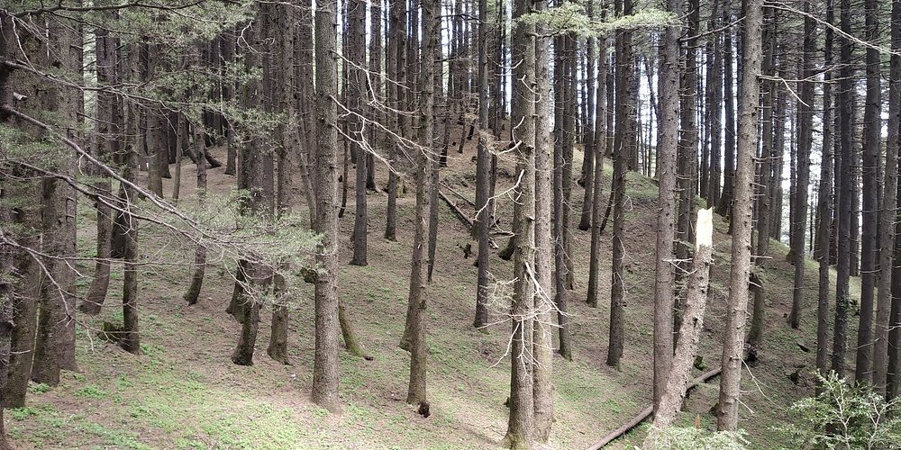kalatop wildlife sanctuary Chamba
