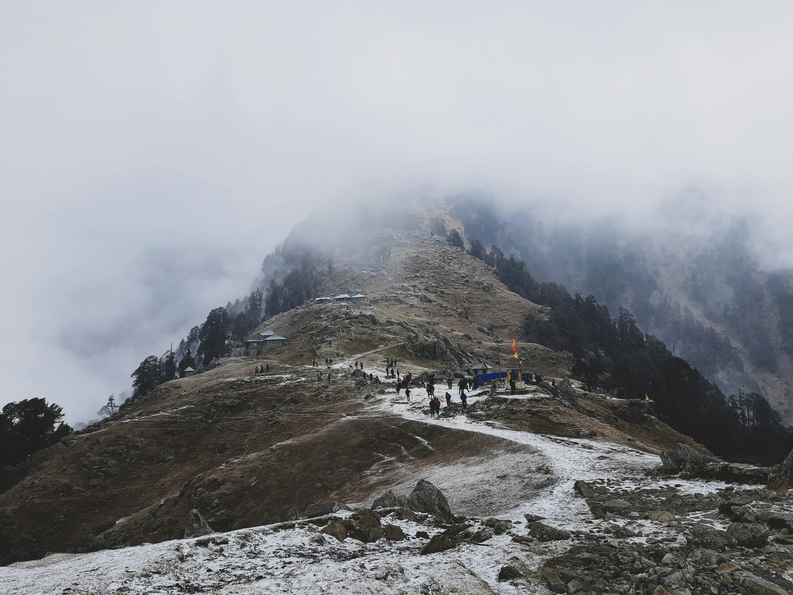 triund trek dharmshala