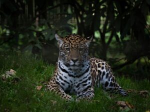Zoo