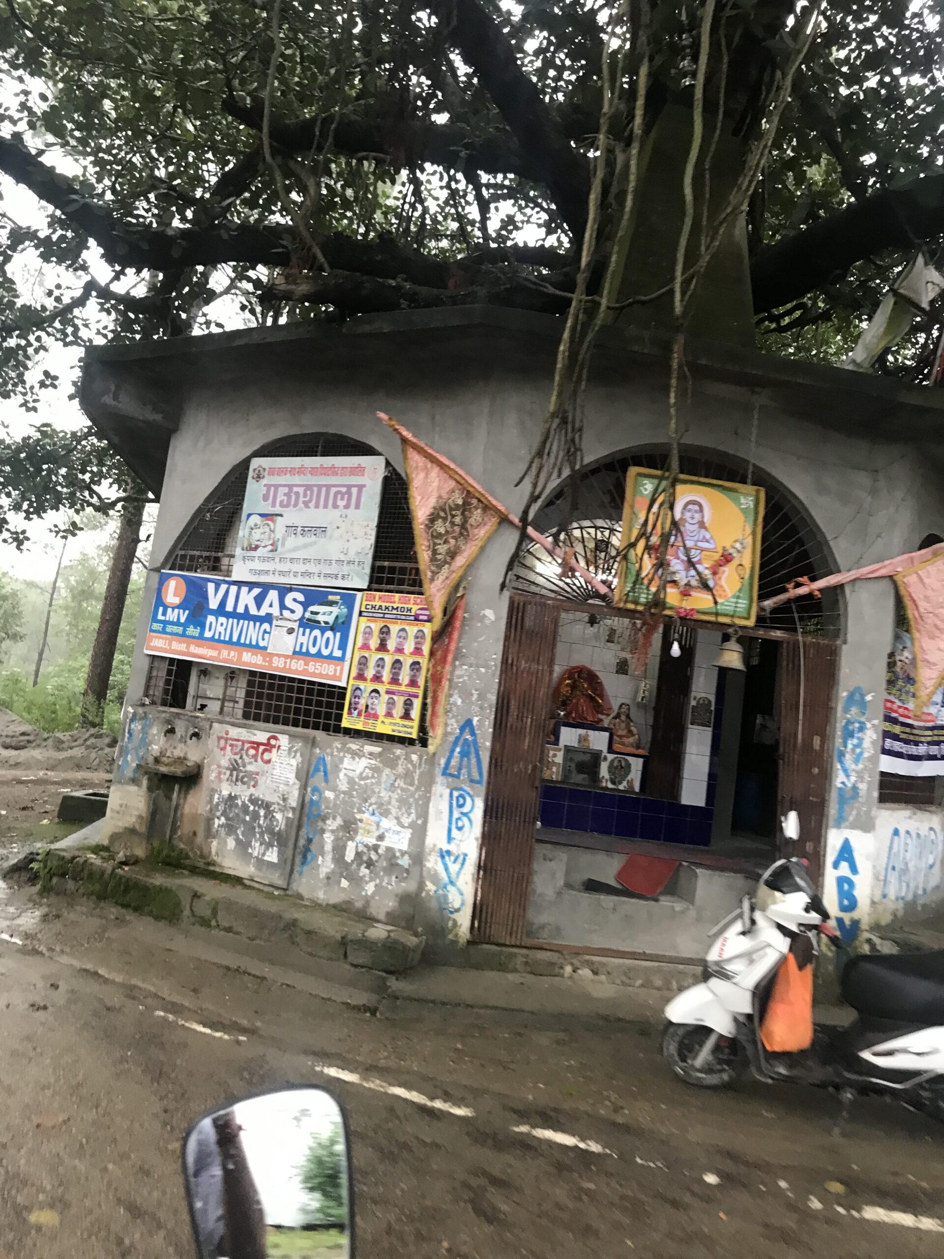 Chakmoh Hamirpur Himachal Pradesh
