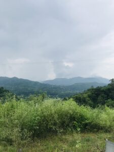 Panoh Nearby Views