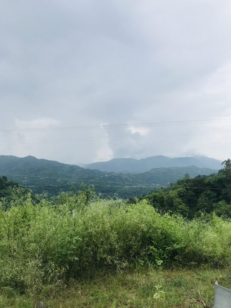 Panoh Nearby Views