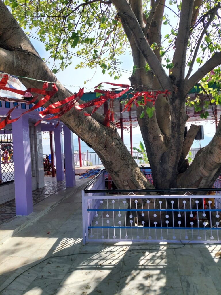 mata sohni devi ji