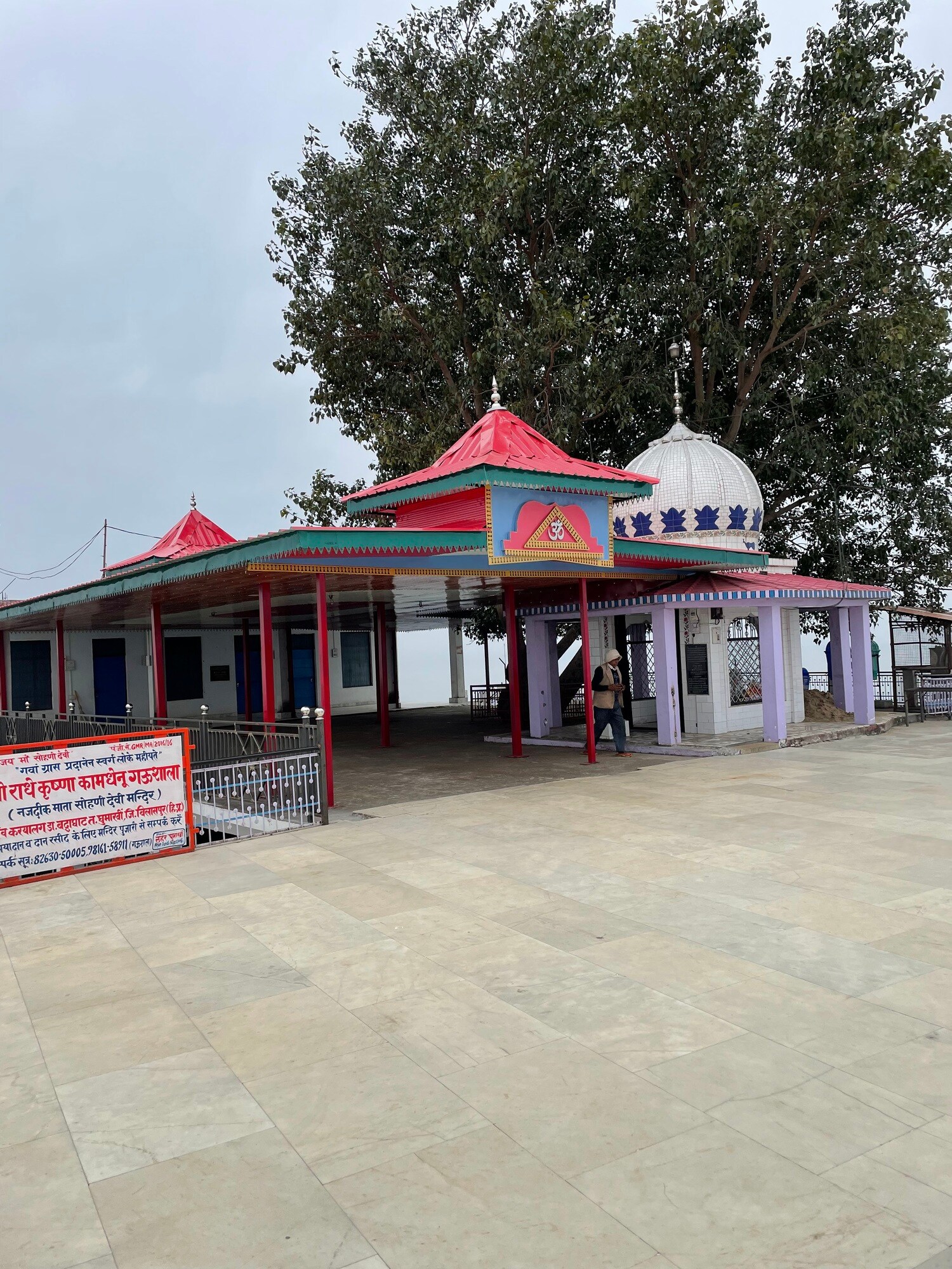 mata sohni devi ghumarwin