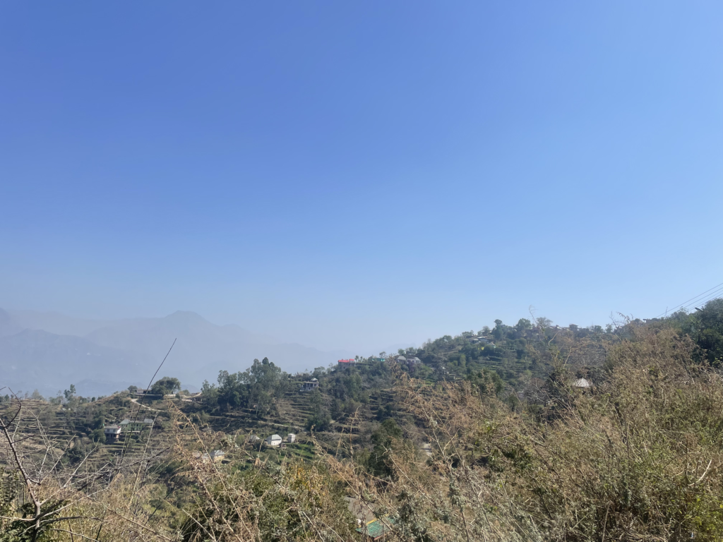 Chalehli bilaspur hp