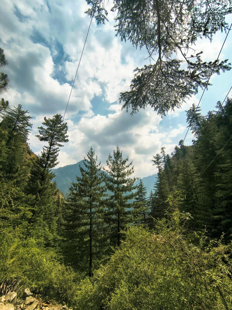 kasol