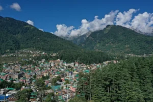 Manali View