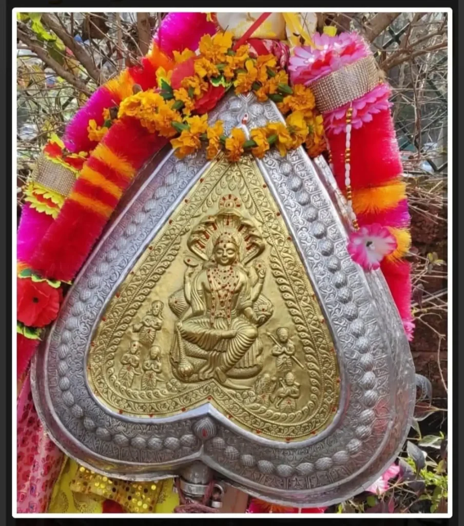 kamrunag photo