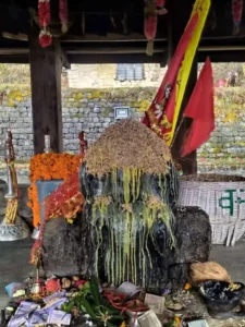 kamrunag dev