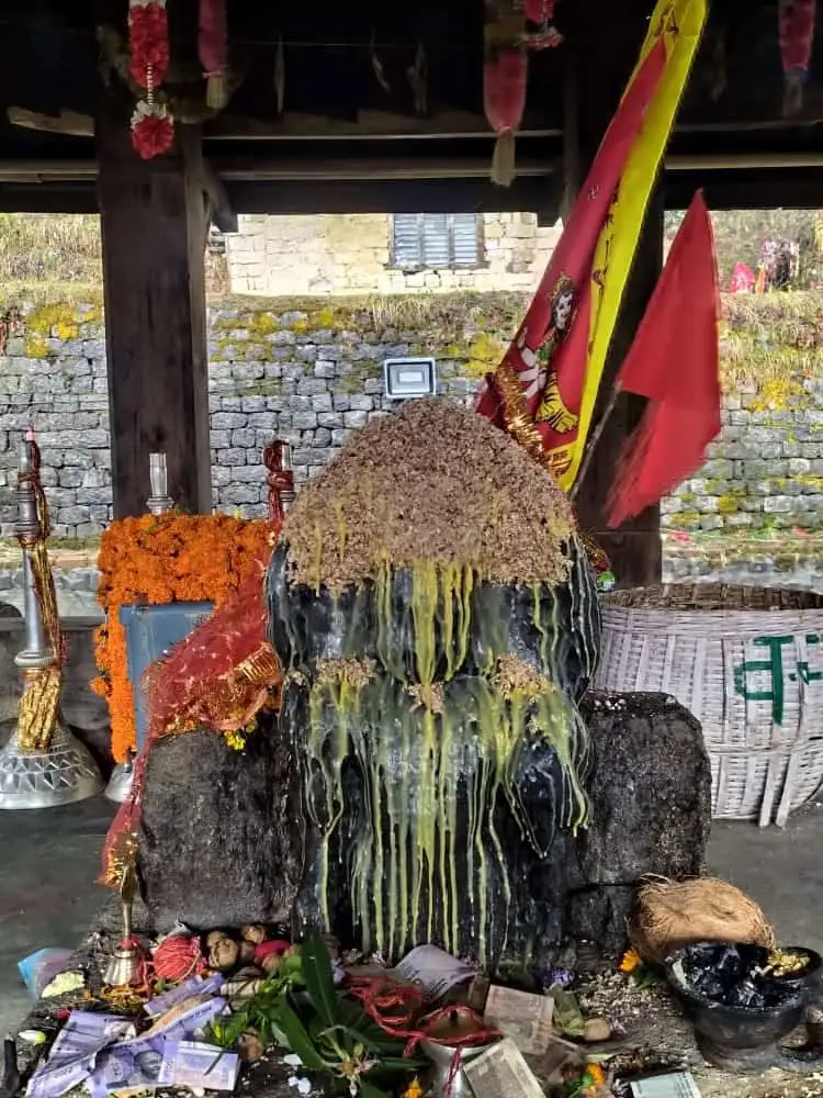 kamrunag dev