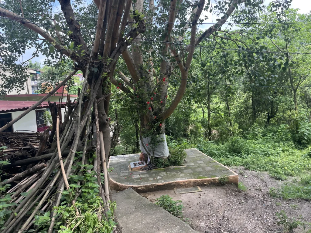 Sukdi Nihan jhandutta