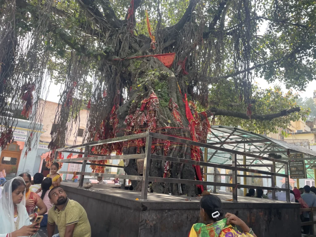 Bajreshwari Mata Temple Kangra H.P